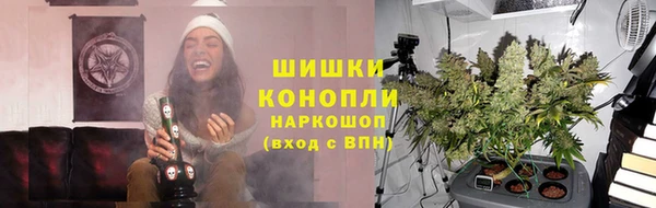 винт Богданович